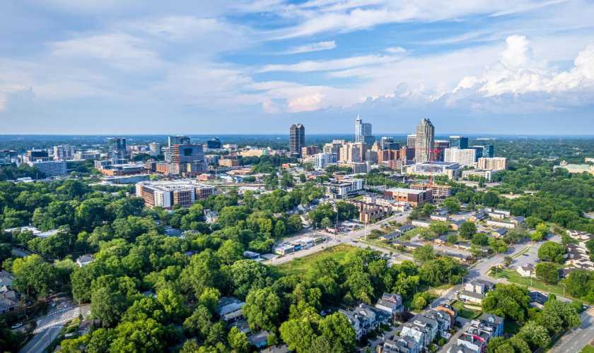 Best Pest Control Company in Raleigh: What Homeowners Should Look For